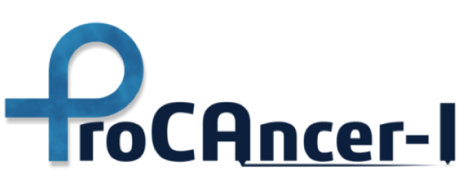 ProCAncer-I: a H2020-funded project aimed at developing a platform to support clinical decision making in prostate cancer through medical imaging and AI