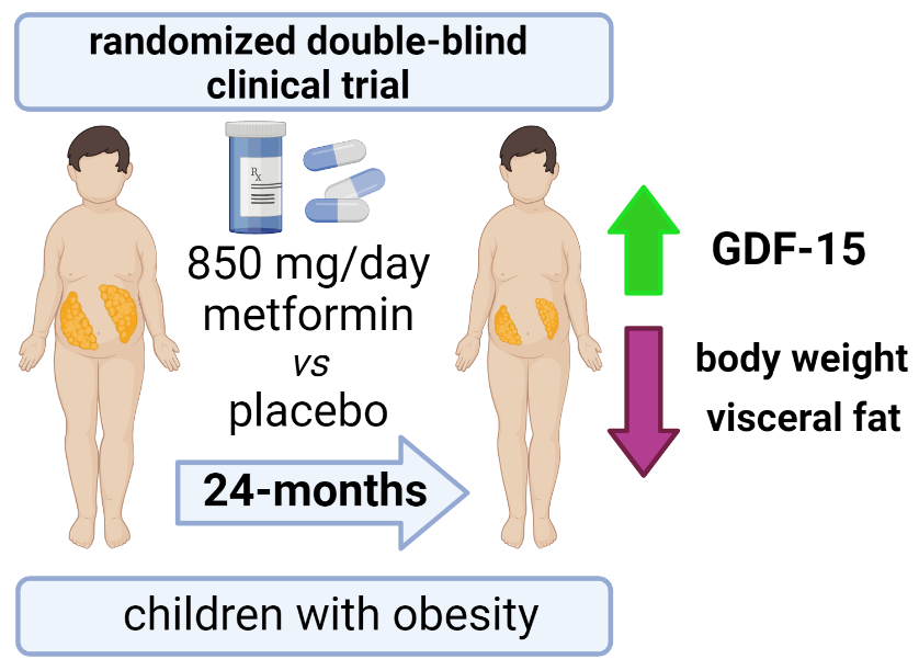A 24-month metformin treatment study of children with obesity: Changes in circulating GDF-15 and associations with changes in body weight and visceral fat